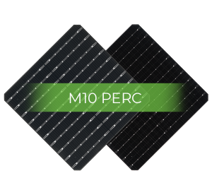 M10-PERC